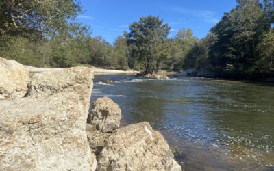 Experience the Natural Beauty of Mississippi’s Upper Leaf River on a Serene Float Trip!