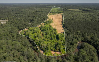 70.04 Acres on the Wolf River Near Poplarville